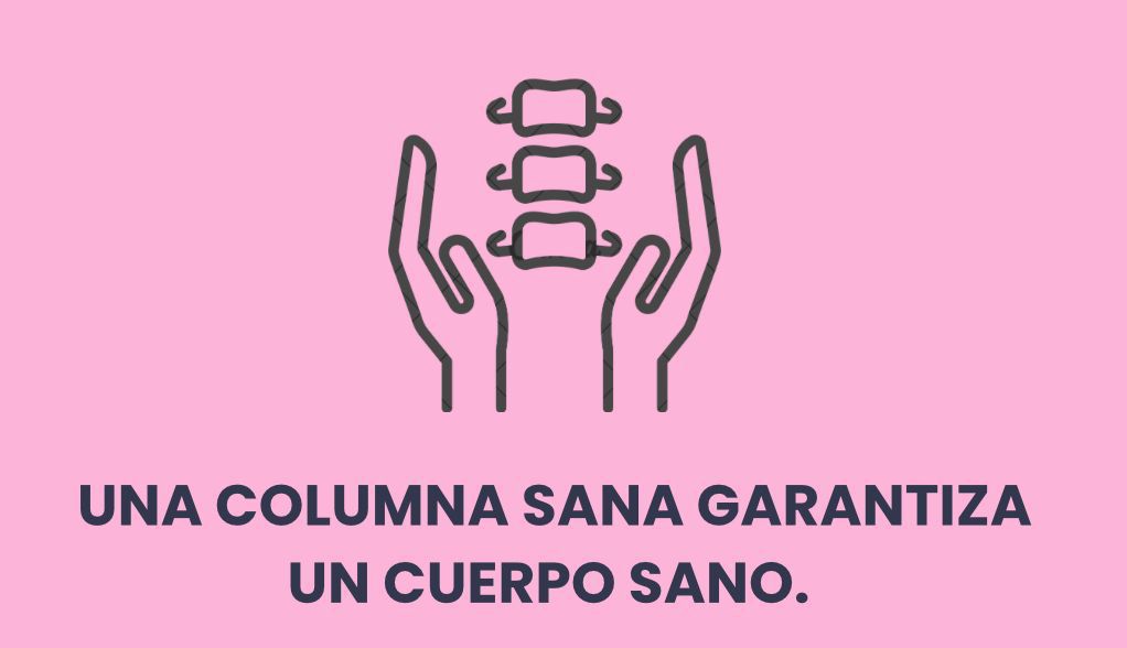 WhatsApp Image 2026 01 06 at 1.51.23 PM 1